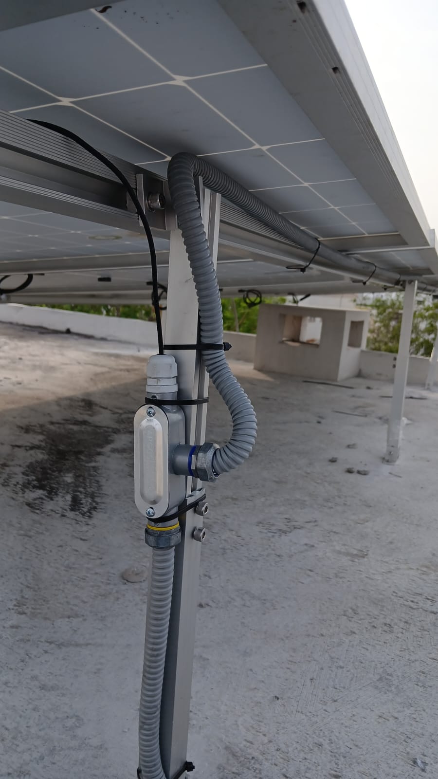 WhatsApp Image 2025 06 17 At 11.28.25 PM (1)